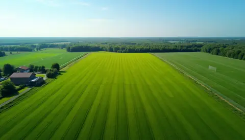 Qu est ce qu un hectare : définition, origine et usages en France