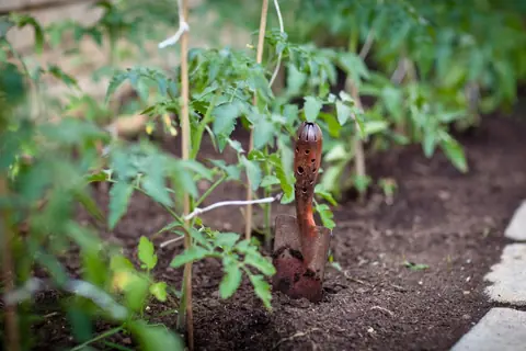 Guide : Les secrets d'un jardin bio réussi
