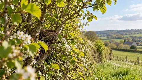 Petit nid dissimulé dans une haie au printemps
