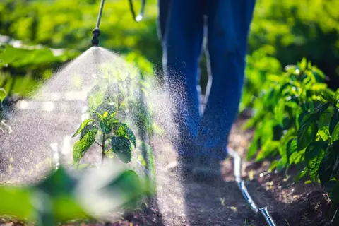 Quel type de buse choisir pour vos traitements agricoles ?